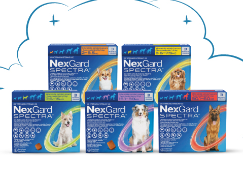 Nexgard 3