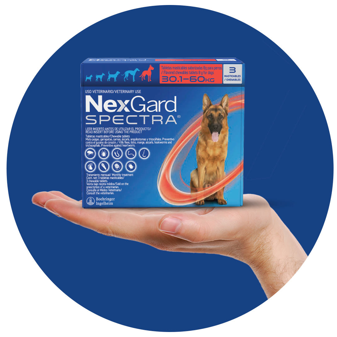 Nexgard x3 DOG