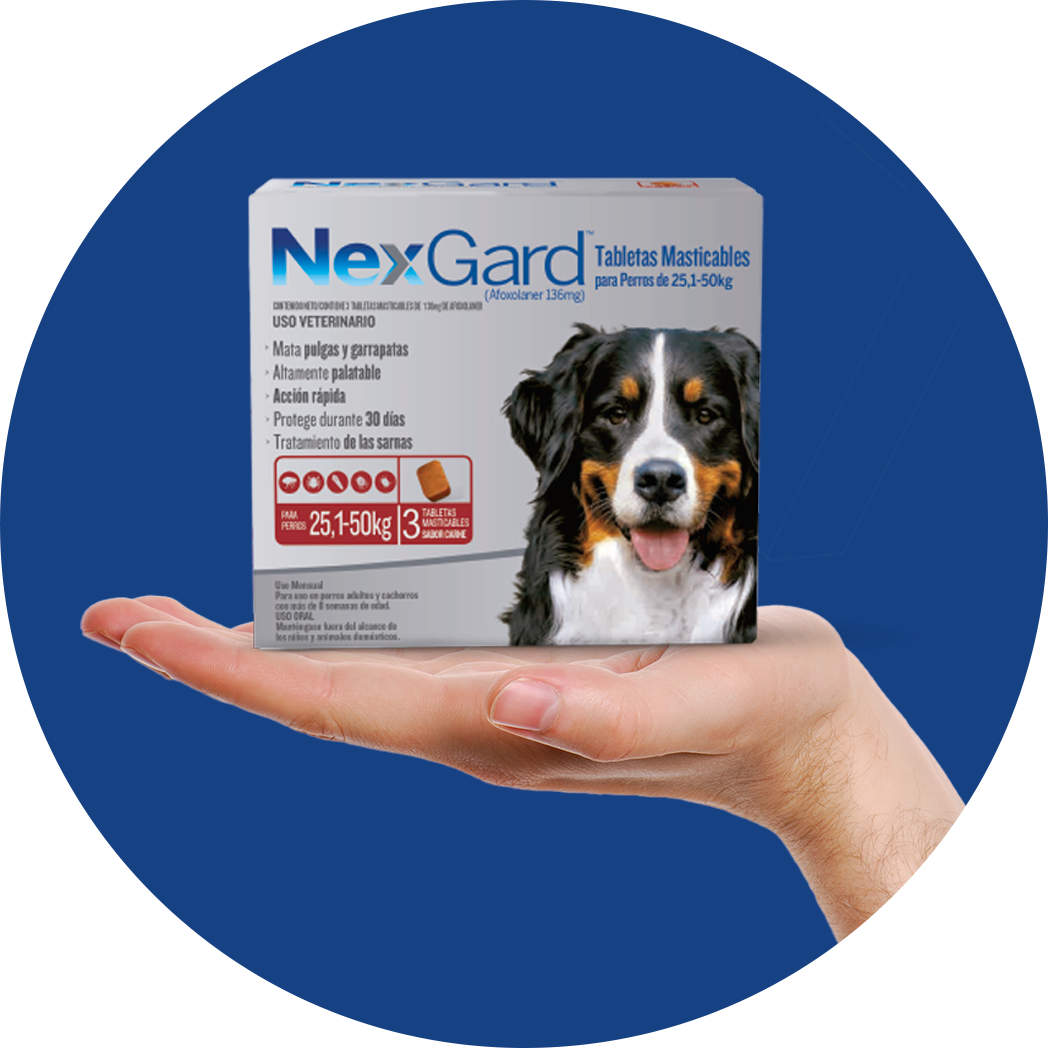 Nexgard x3 dog