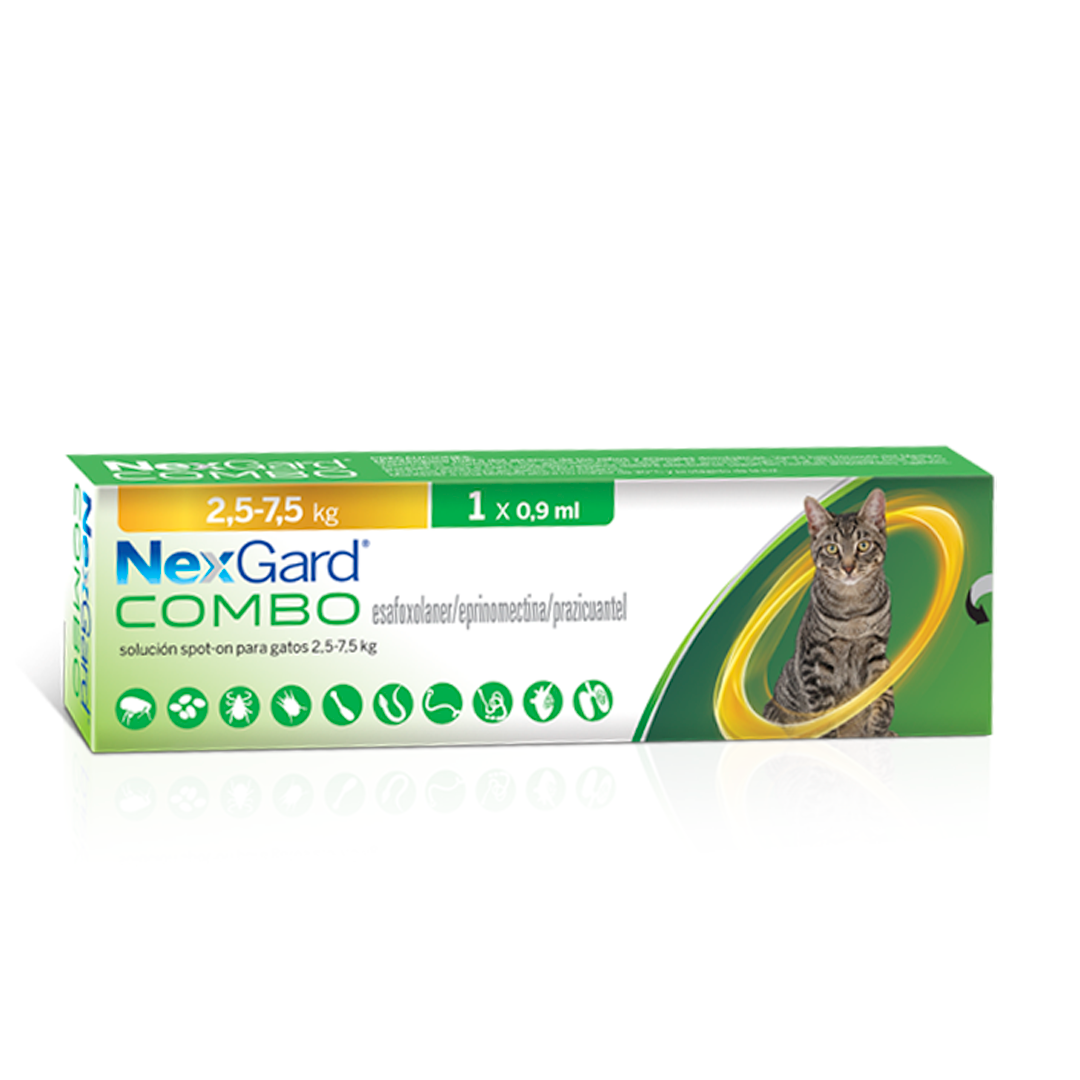 Nexgard Gato combo