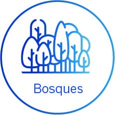 Logo Bosques